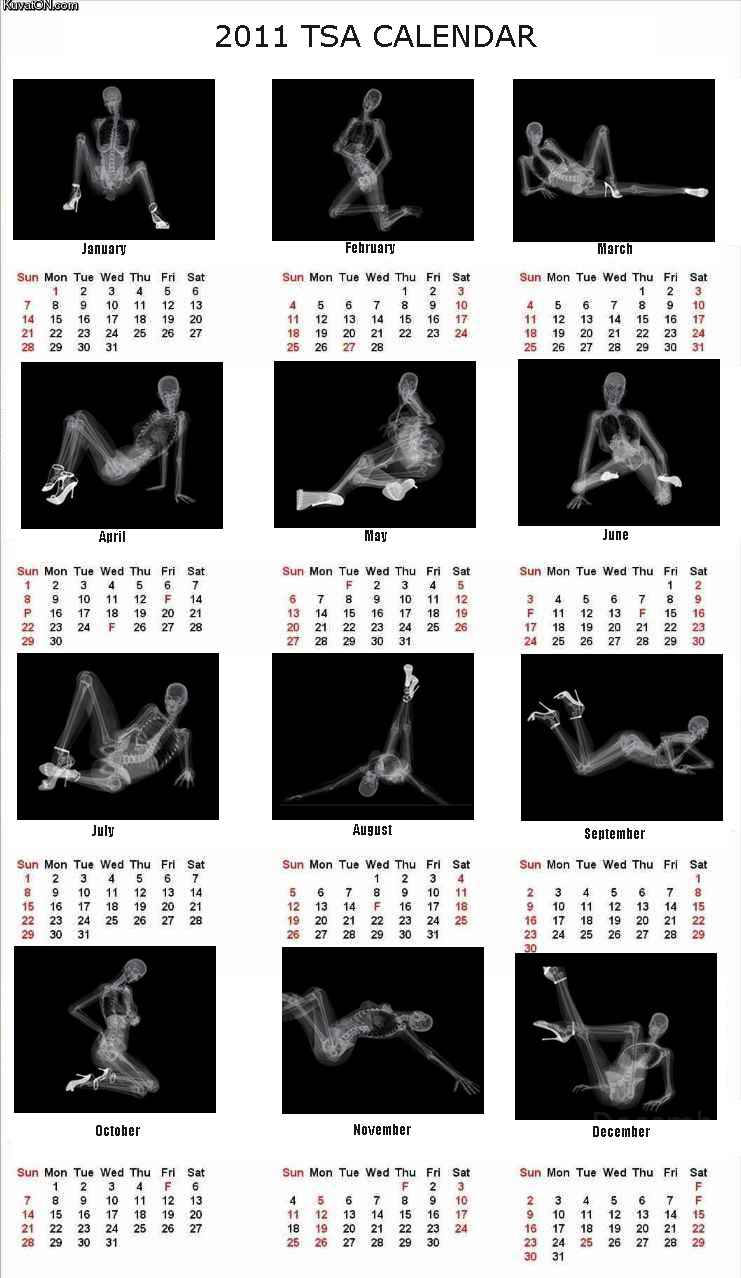 2011_tsa_calendar.jpg