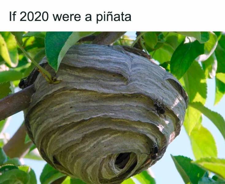 2020pinata.jpg