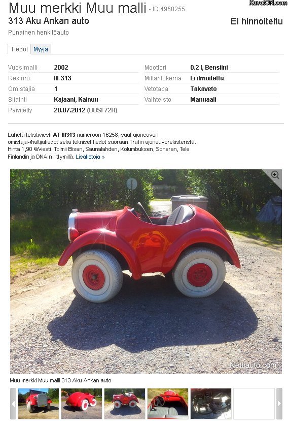 313_nettiautossa.jpg