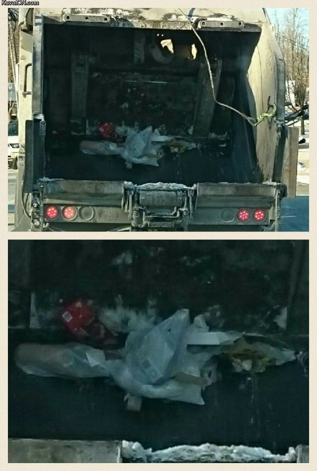 35968.jpg