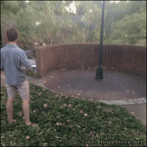 360_.gif
