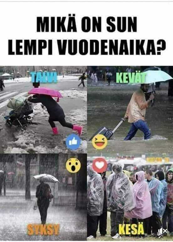 4vuodenaikaa.jpg
