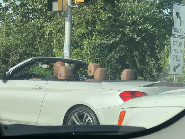 5_bald_heads.jpg