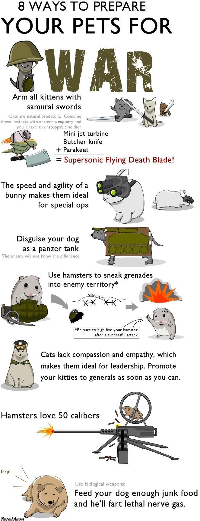 8_ways_to_prepare_your_pets_for_war.jpg