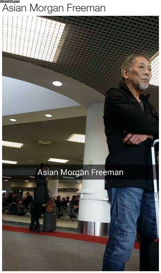 aasian_morgan_freeman.jpg