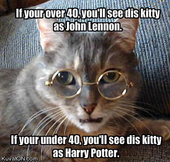 age_test_cat.jpg