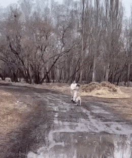 ala_veda_hei.gif