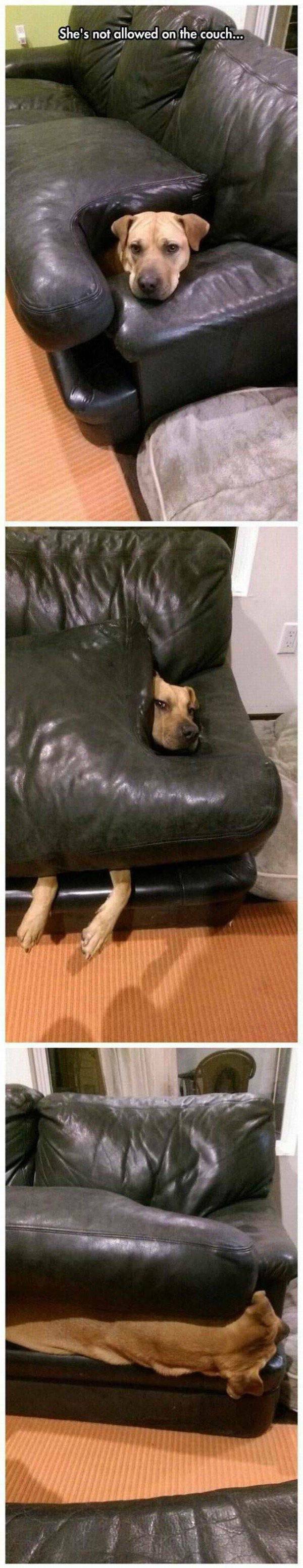 alle_sit.jpg