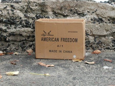 american_freedom.jpg