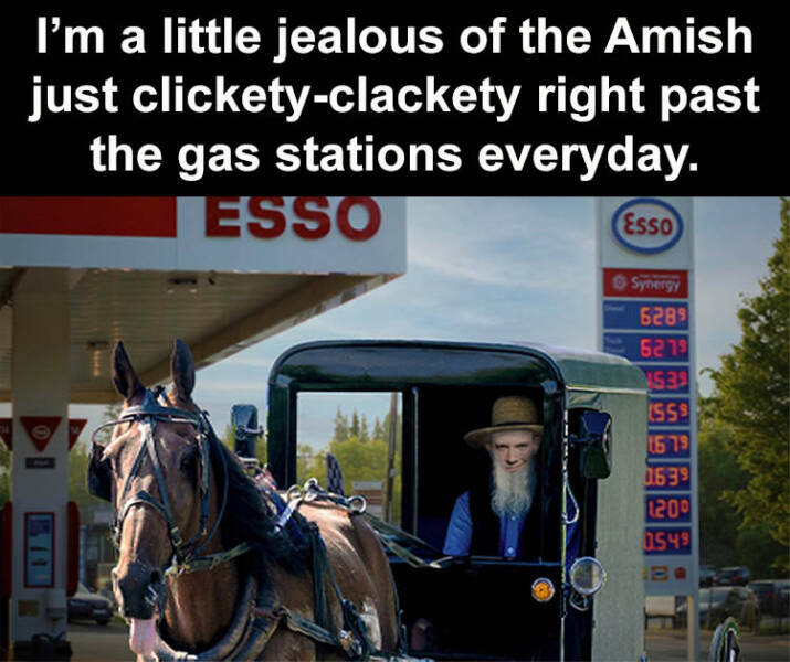 amish3.jpg