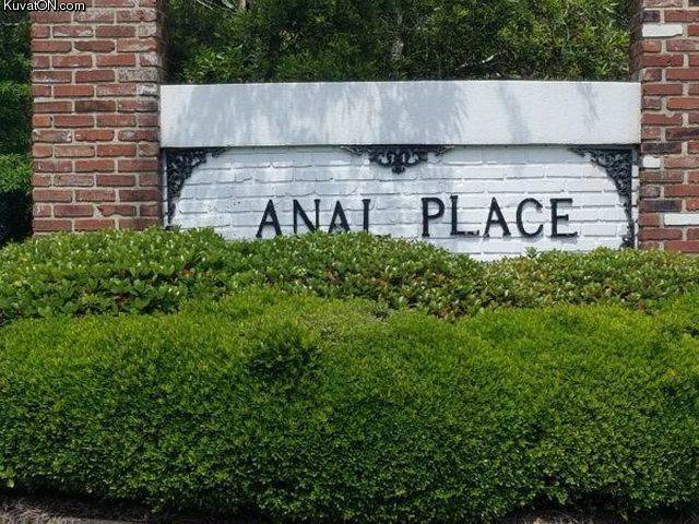 analplace.jpg