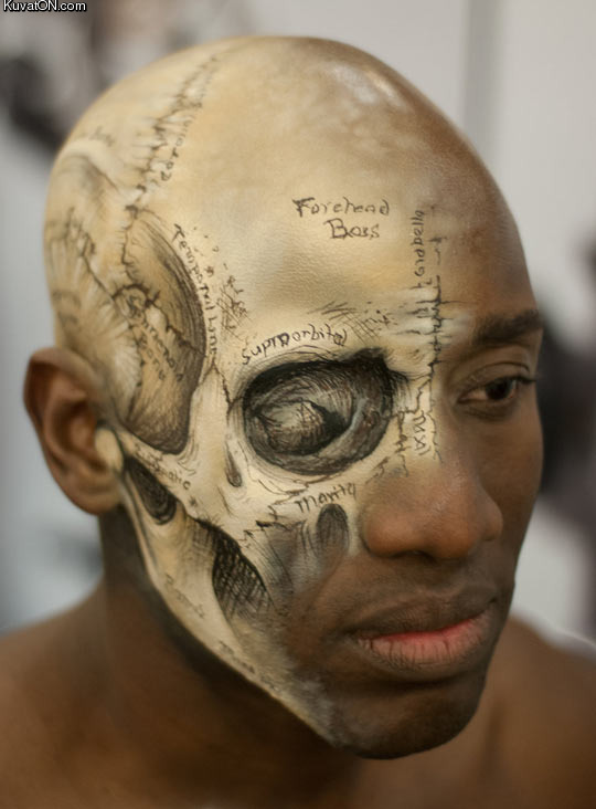 anatomical_make_up.jpg