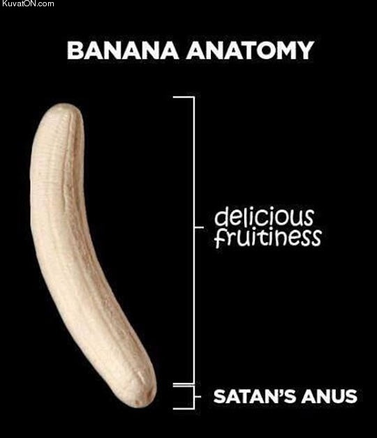 anatomy_of_a_banana.jpg