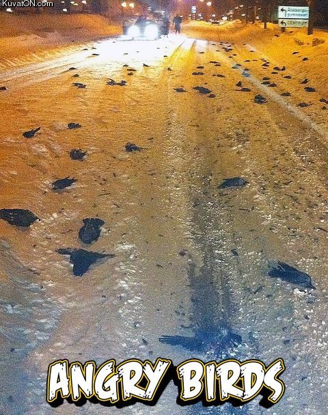 angry_birds.jpg