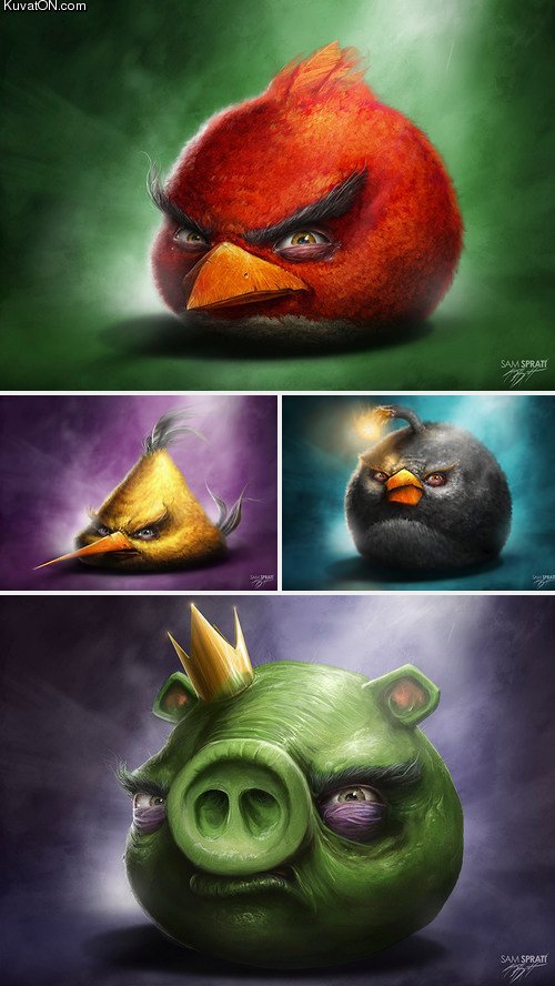 angry_birds11.jpg