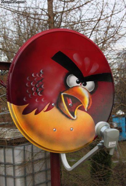 angry_birds_satellite_dish.jpg