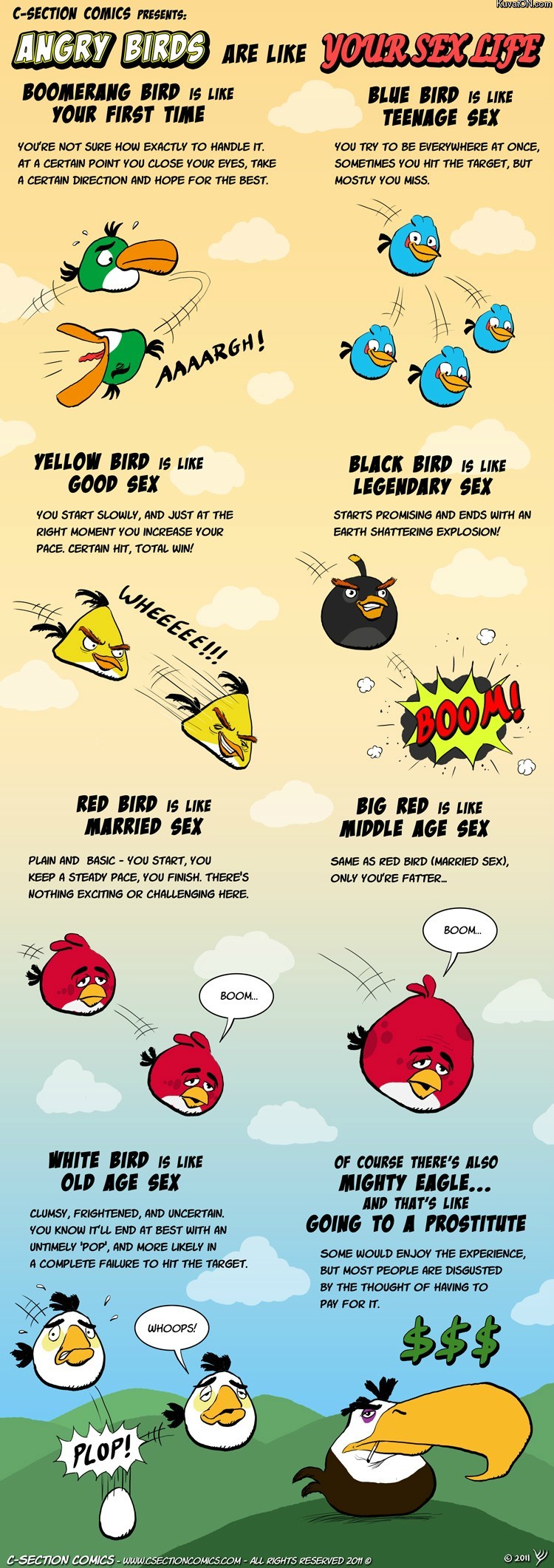 angry_birds_sex.jpg