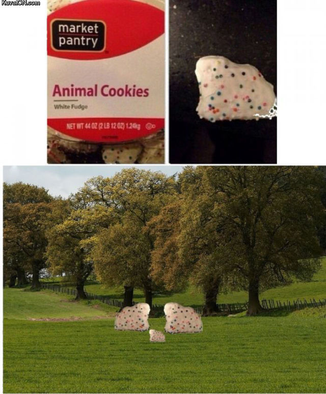 animal_cookies.jpg