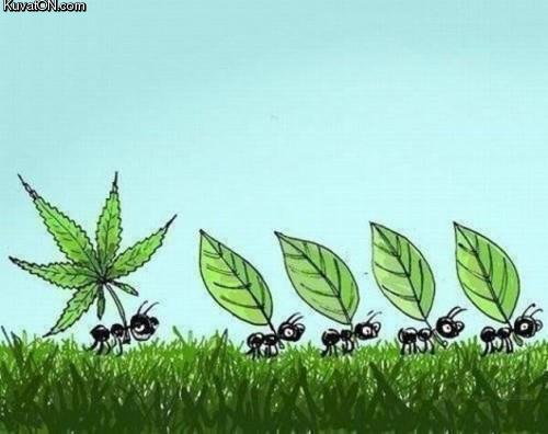 anti_drug_poster.jpg