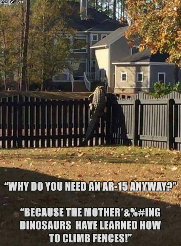 ar15.jpg