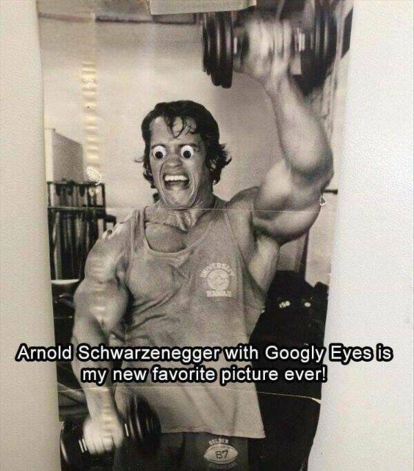 arnold04.jpg