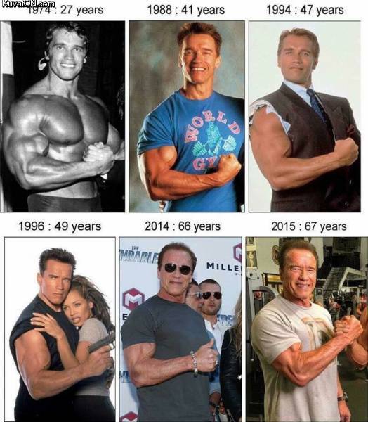 arnold6.jpg