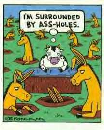 ass-holes.jpg