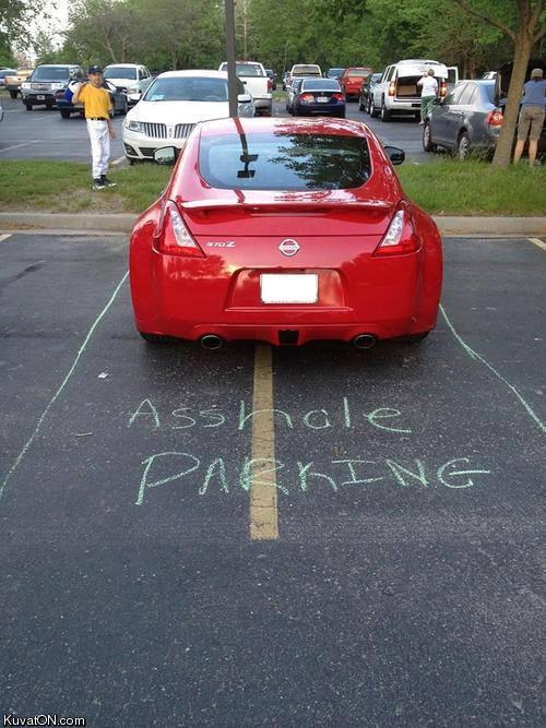 asshole_parking.jpg