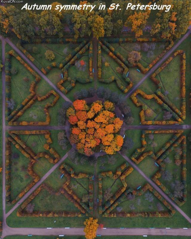 autumn_symmetry.jpg
