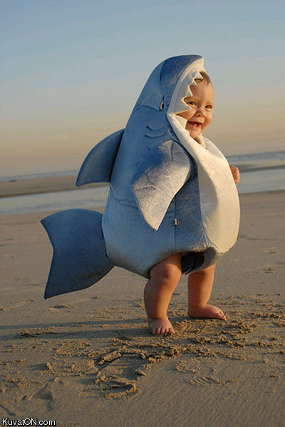 baby_shark.jpg