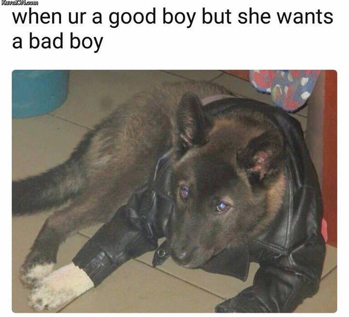 badboy.jpg