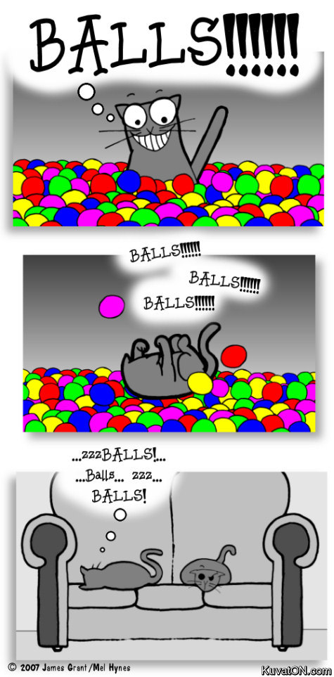 balls3.jpg