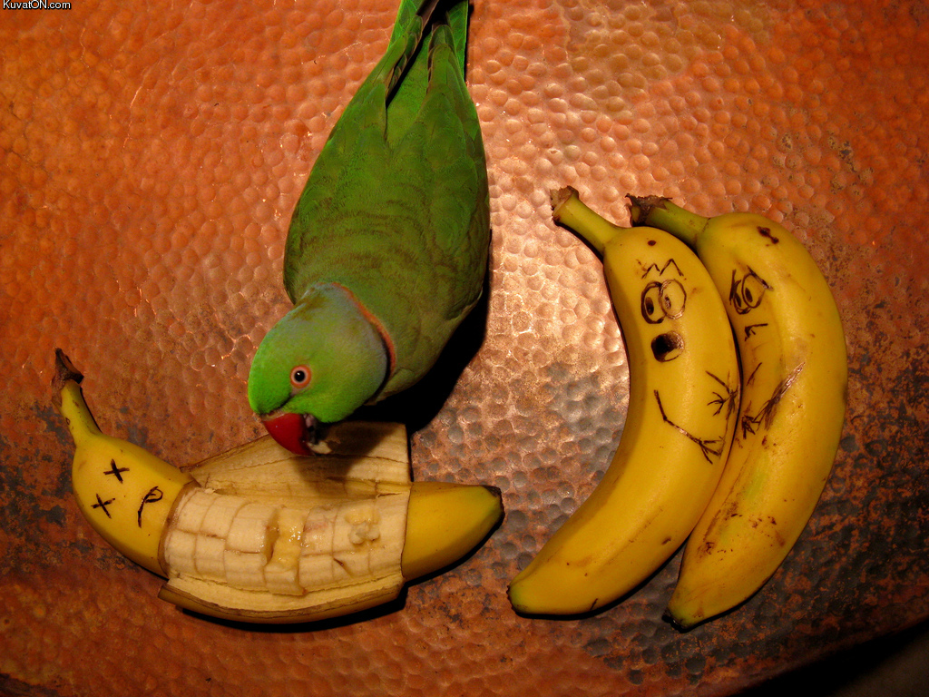 banana_art.jpg