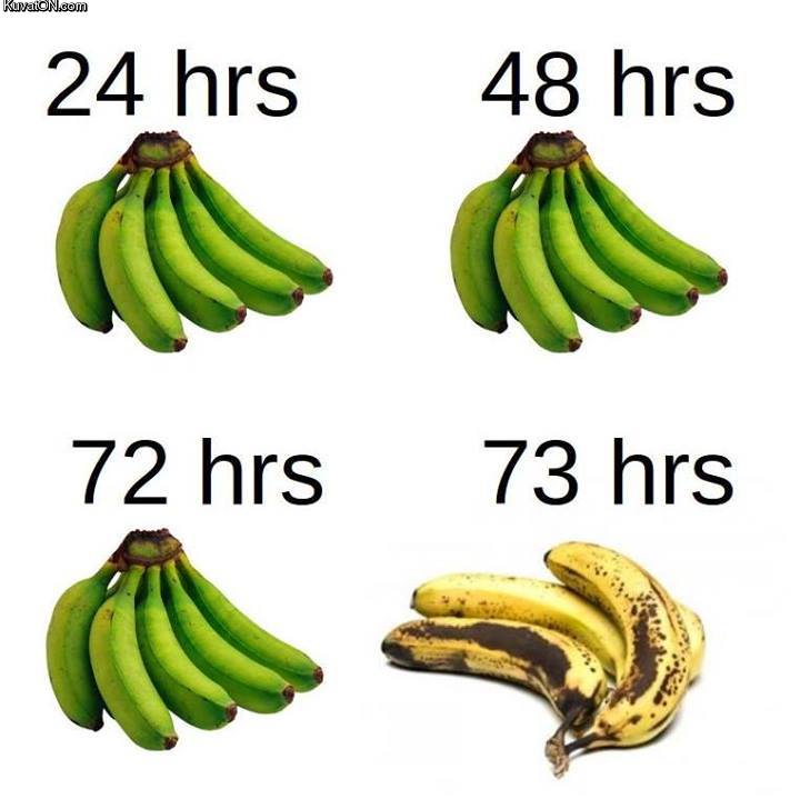 bananas3.jpg