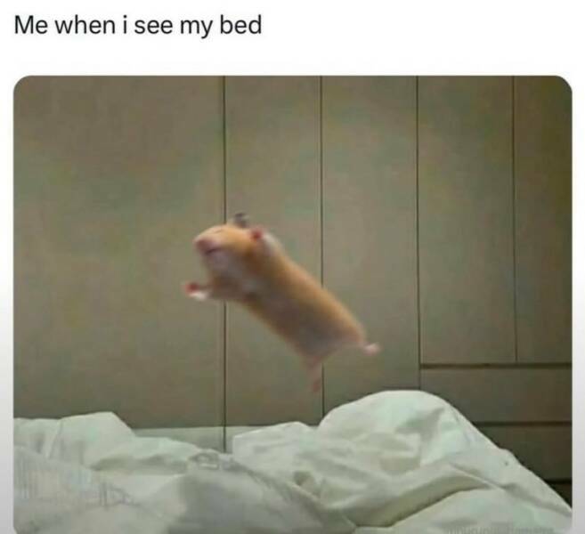 banzaiii.jpg