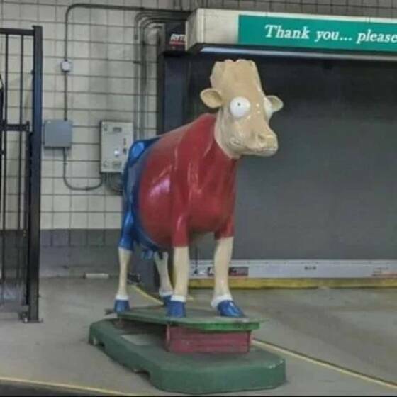 bartcow.jpg