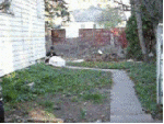 basket_riding_by_splinks.gif