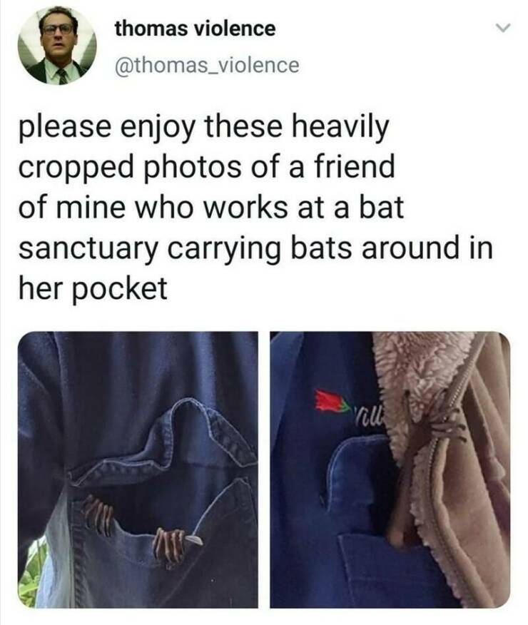 bat4.jpg