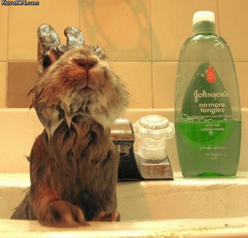 bath_time_for_bunny.jpg