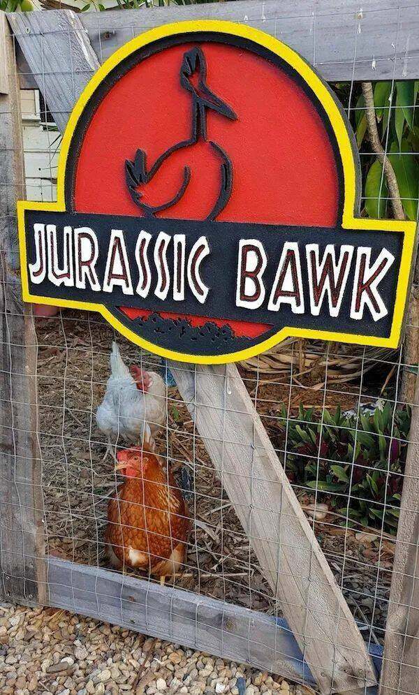 bawk.jpg