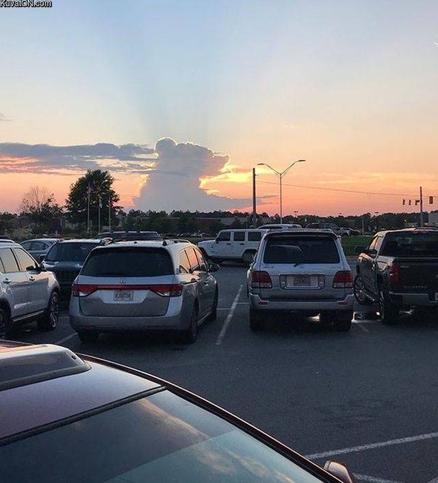 bearcloud.jpg