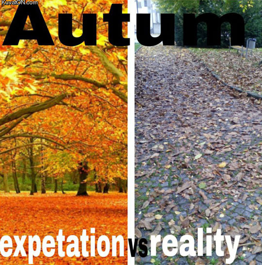 beautiful_autumn.jpg