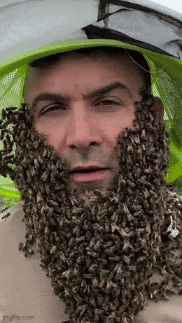 beebeard.gif