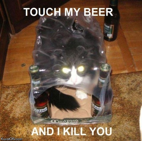 beer_cat.jpg