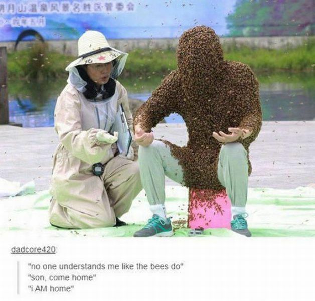 bees03.jpg