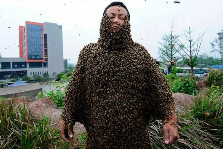 bees3.jpg