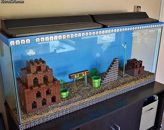 best_fish_tank_ever.jpg