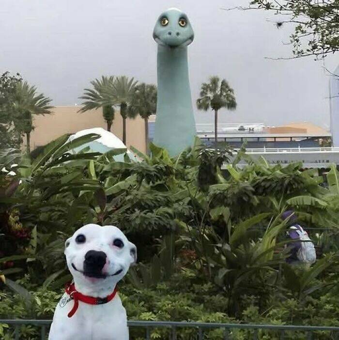 bestdayever.jpg