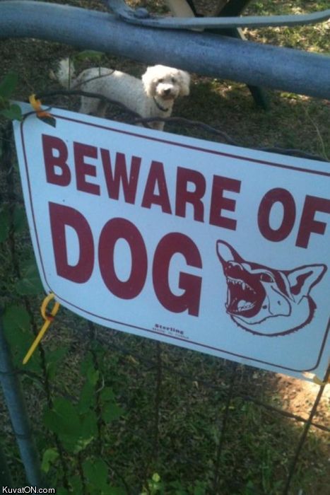 beware_of_dog3.jpg