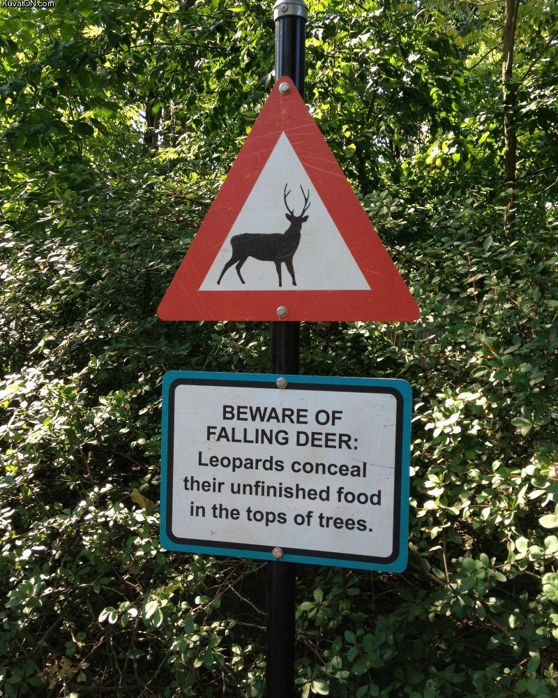 beware_of_falling_deer.jpg